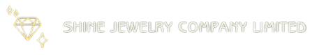 Company Logo Alt Text
